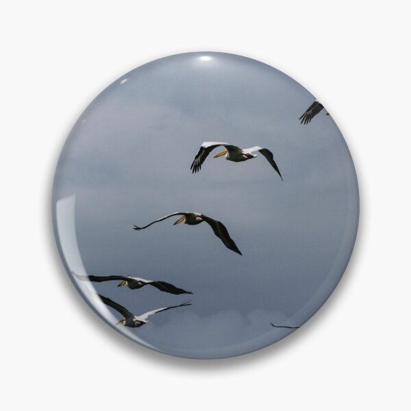 Item preview, Pelicans in flight designed and sold by CanadianWild418.