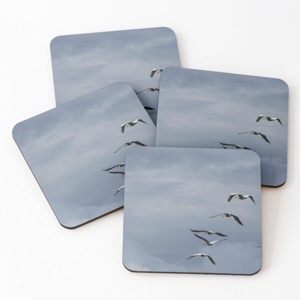 Item preview, Pelicans in flight designed and sold by CanadianWild418.