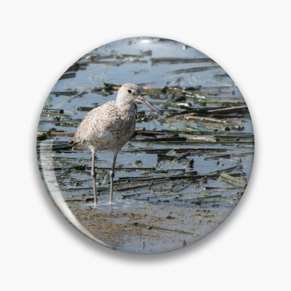 Item preview, Sandpiper designed and sold by CanadianWild418.