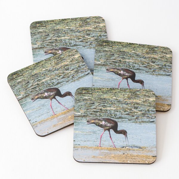 Item preview, White-faced Ibis designed and sold by CanadianWild418.