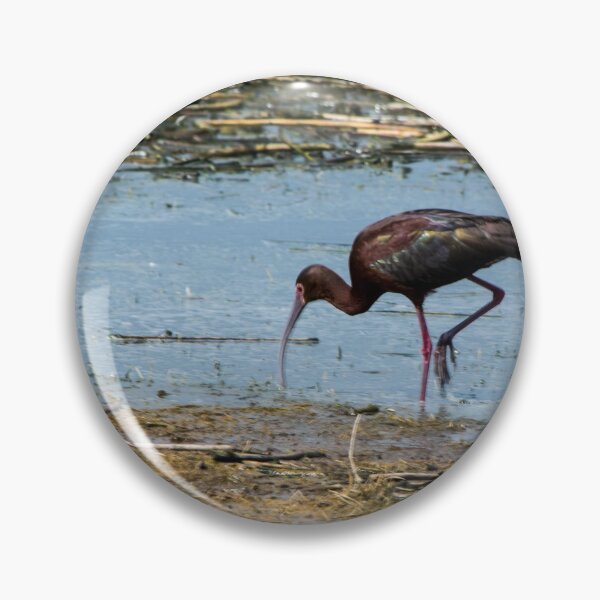 Item preview, White-faced Ibis designed and sold by CanadianWild418.