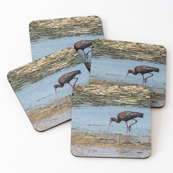 Item preview, White-faced Ibis designed and sold by CanadianWild418.