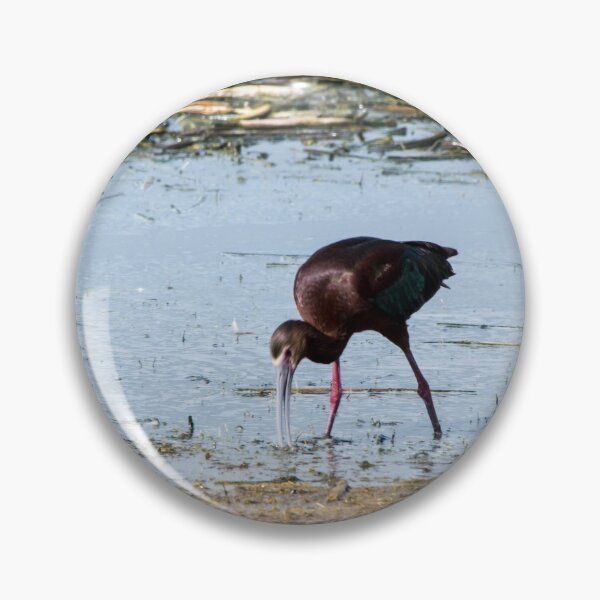 Item preview, Ibis designed and sold by CanadianWild418.