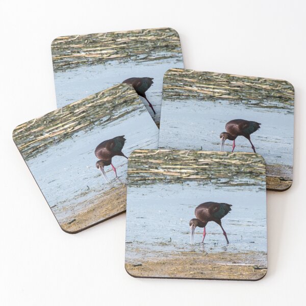 Item preview, Ibis designed and sold by CanadianWild418.