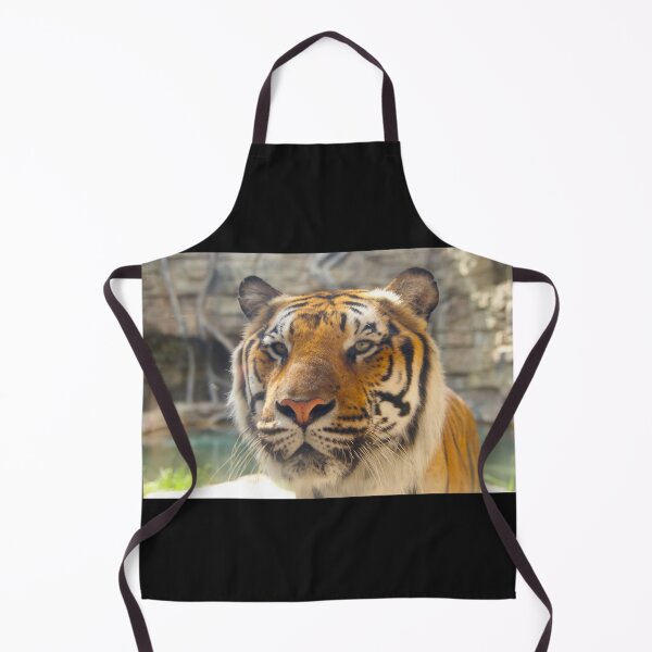 Item preview, Tiger at Busch Gardens, Tampa, FL designed and sold by Monika's Shop.