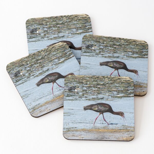 Item preview, Ibis designed and sold by CanadianWild418.