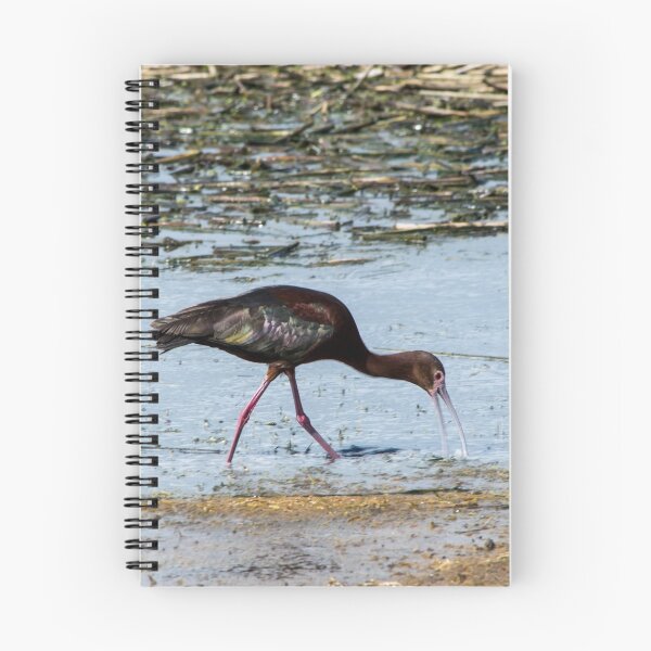 Item preview, Ibis designed and sold by CanadianWild418.