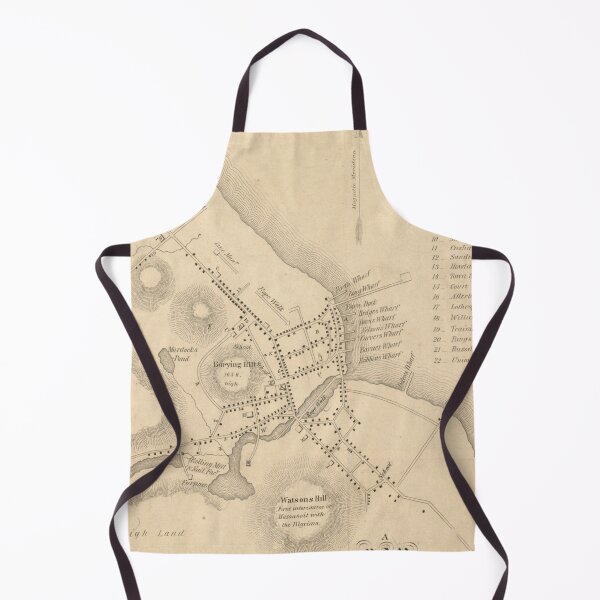 Item preview, Vintage Map of Plymouth Village MA (1846) designed and sold by BravuraMedia.