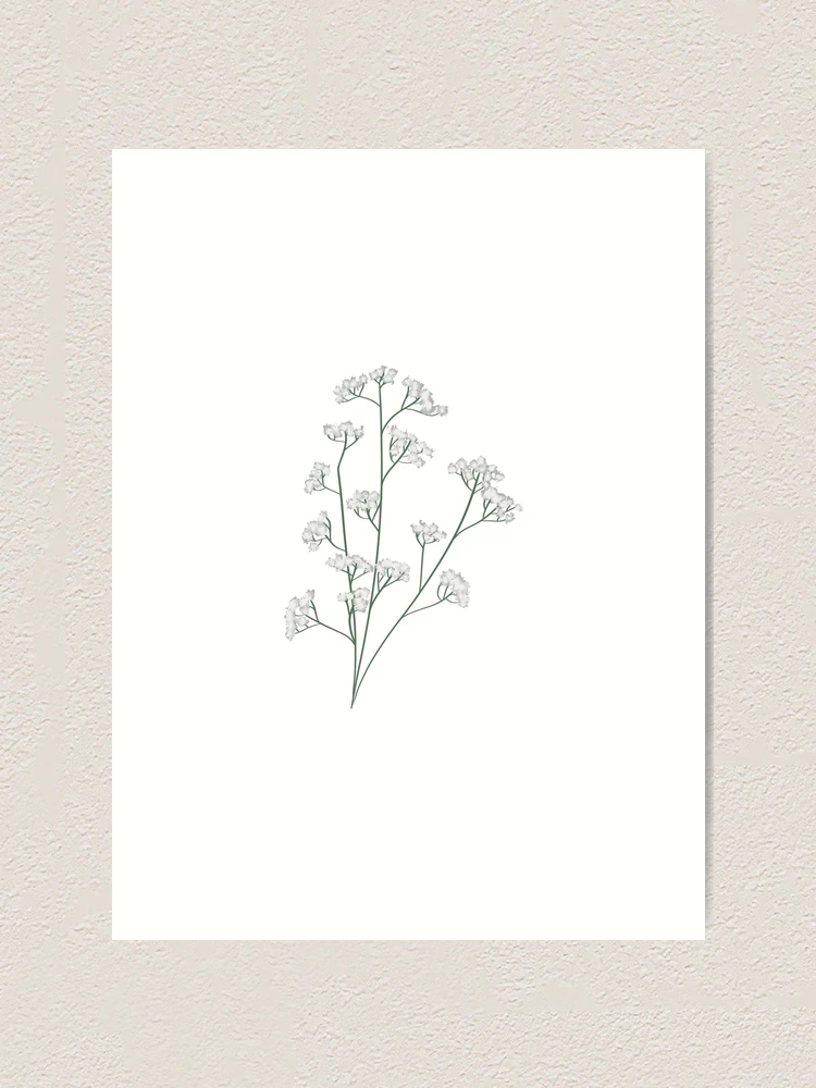 Baby's Breath Stencil Print – Lash Next Door