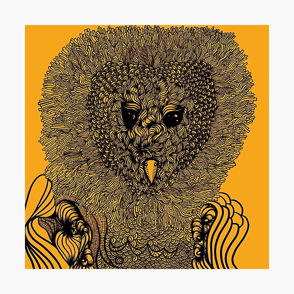 Wisdom Photographic Print