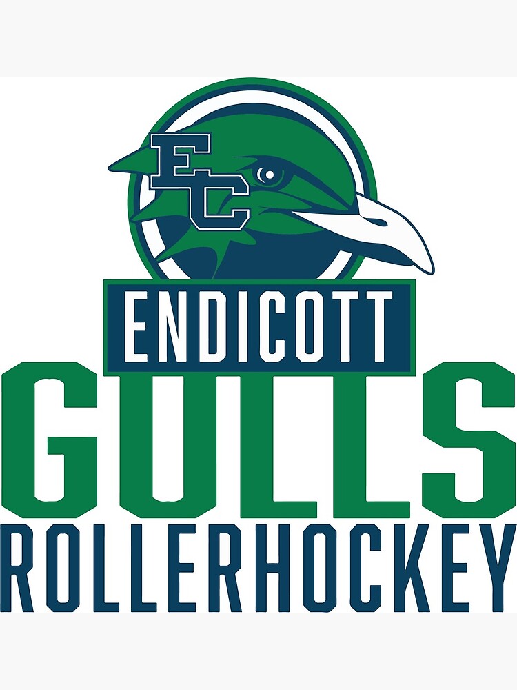 "endicott college roller hockey" Art Print by katiealz Redbubble