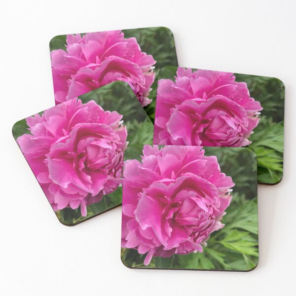 Artikelvorschau,  Eine meiner Lieblingsblumen ist die Pfingstrose. Ich erinnere mich, wie meine Tochter unsere Pfingstrosen gepflückt hat entworfen und verkauft von tryslora.