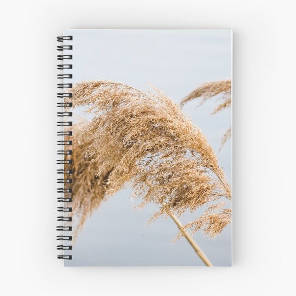 Item preview, Common reed by the Saint Lawrence river designed and sold by Simon Charbonneau.