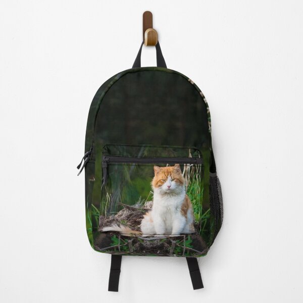 Item preview, Zen Master - Relaxed Cat designed and sold by Vienewi.