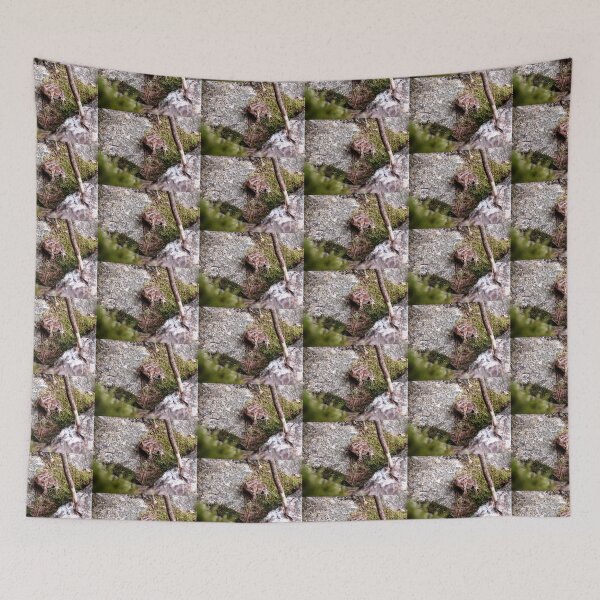 Item preview, My Prince?  designed and sold by CarolLeesArt.