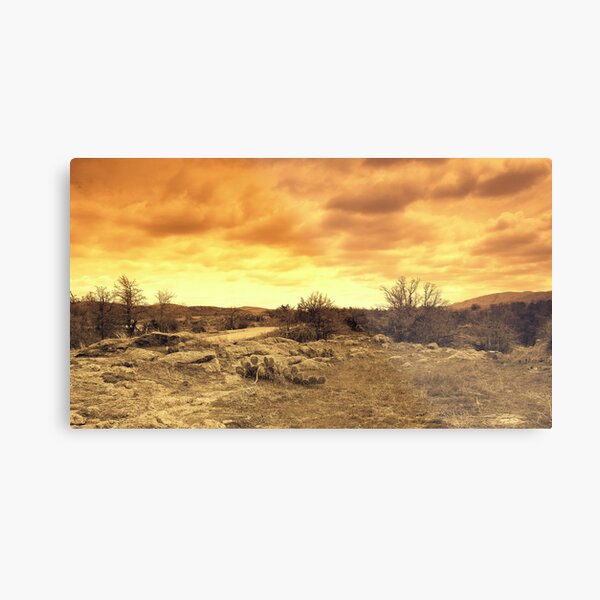 Storm Clouds Metal Print