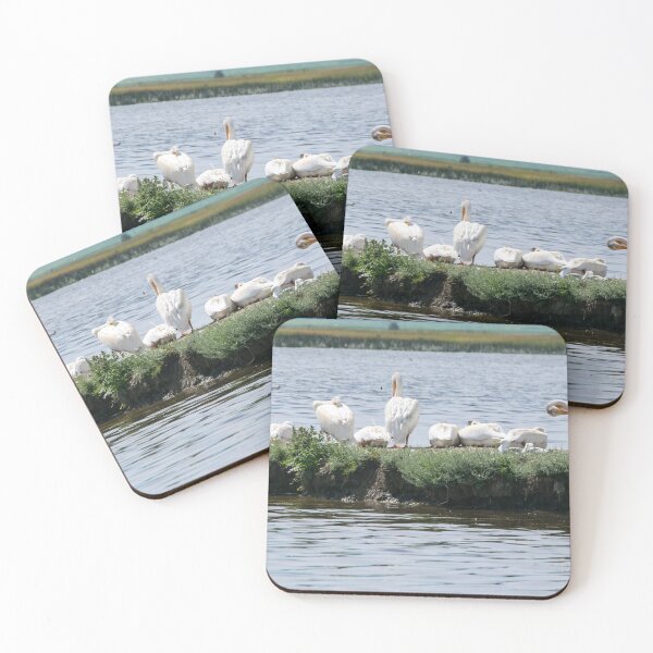 Item preview, American pelicans designed and sold by CanadianWild418.