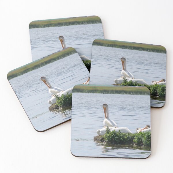 Item preview, Pelicans designed and sold by CanadianWild418.
