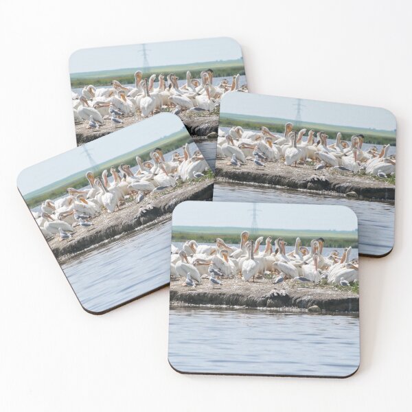 Item preview, White Pelicans designed and sold by CanadianWild418.