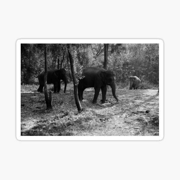 Item preview, Roaming Elephants designed and sold by Jane Ruttkayova.