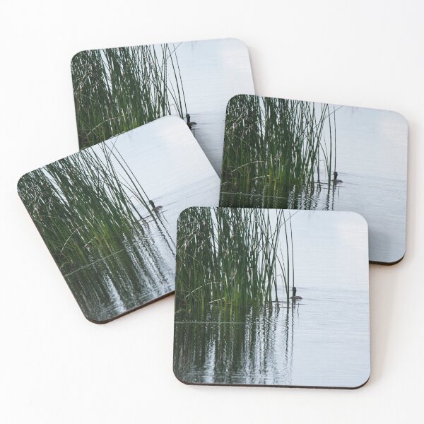 Item preview, Duck on a pond designed and sold by CanadianWild418.