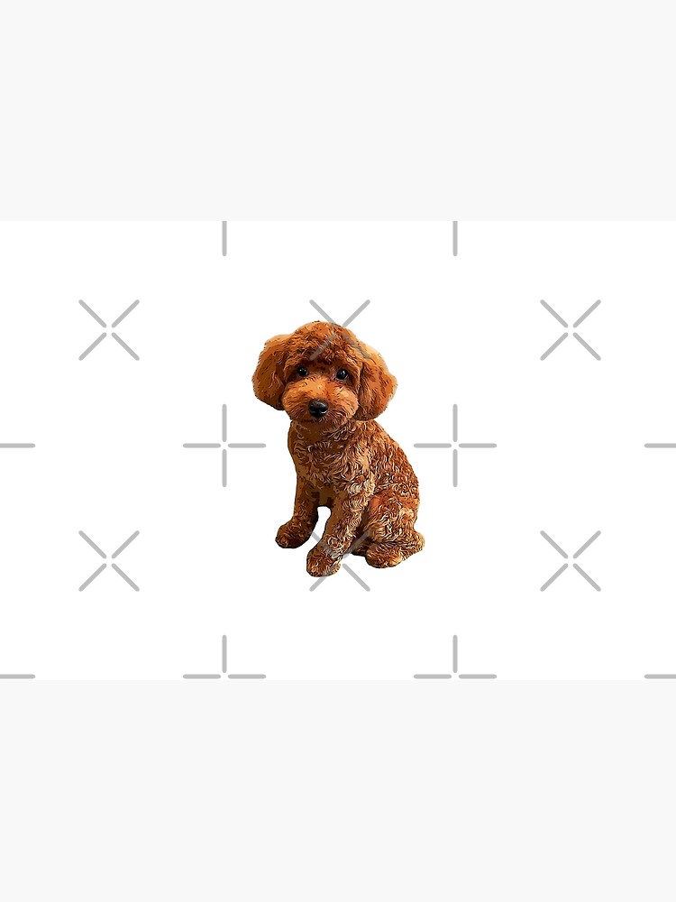 Doodle Dog and Other Mixed Breeds - 500 Piece Puzzle