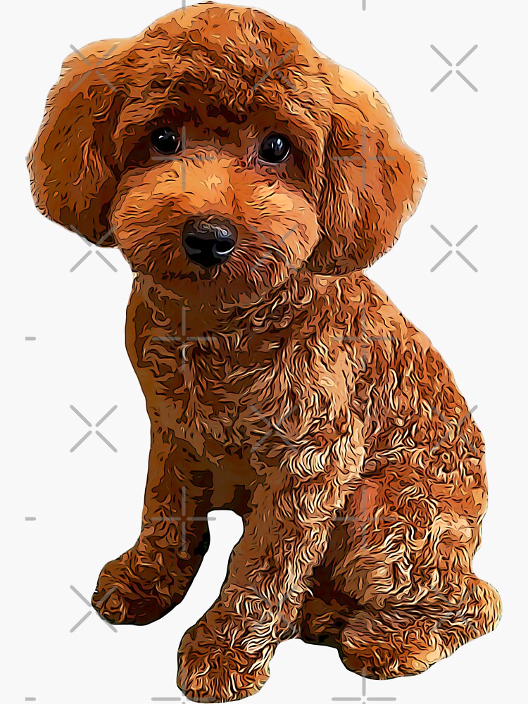 Mini Poodle Golden Doodle Sticker for Sale by ElegantCat Redbubble