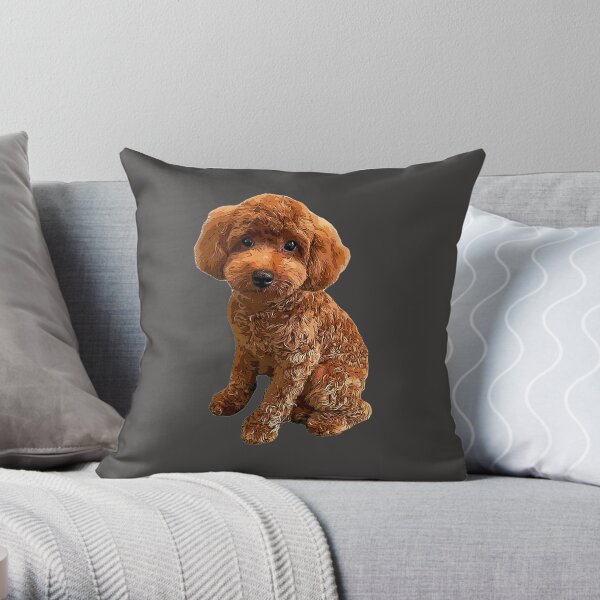 Mini sales throw pillows