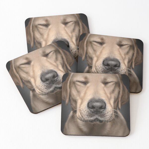 Item preview, Boop The Snoots designed and sold by Belinda  Richards.