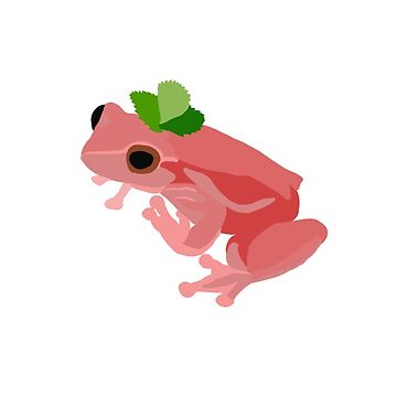 Strawberry Frog Squish  Sticker for Sale by BellsArtStudio
