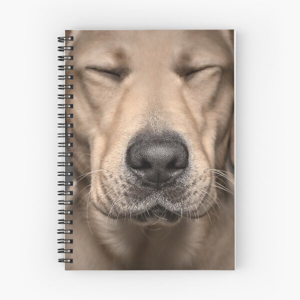 Item preview, Boop The Snoots designed and sold by Belinda  Richards.