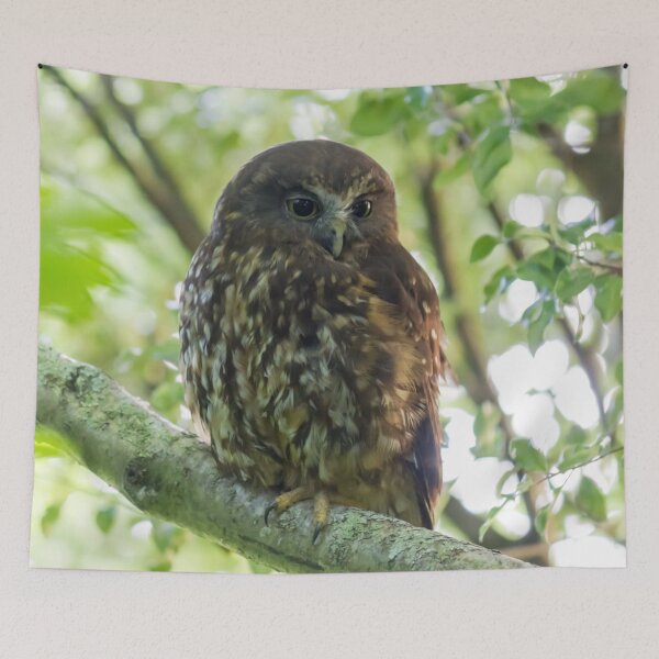 Item preview, Morepork Owl designed and sold by KarenWoodArt.