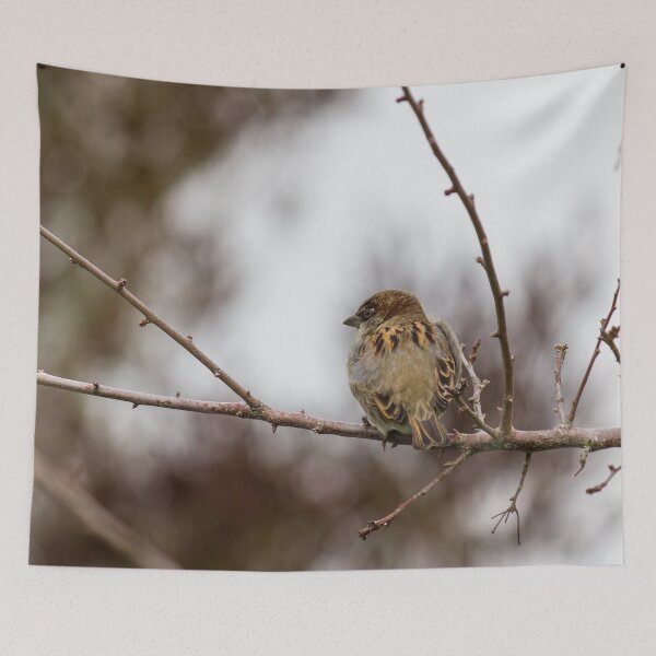 Item preview, Sparrow On Branch designed and sold by KarenWoodArt.