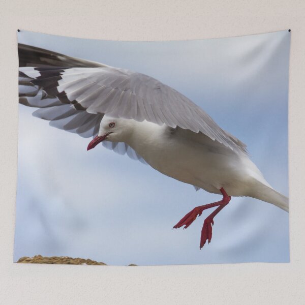 Item preview, Seagull Landing On Rock designed and sold by KarenWoodArt.
