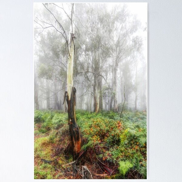 Item preview, Mists Of Time - Laurel Hill NSW - The HDR Experience designed and sold by Salieri1627.