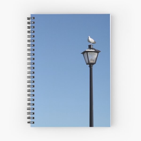 Item preview, Lamp Post Holding Up a Seagull.. designed and sold by CarolLeesArt.