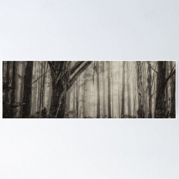 Item preview, Mist - Laurel Hill NSW Australia (B&W)- The HDR Experience designed and sold by Salieri1627.