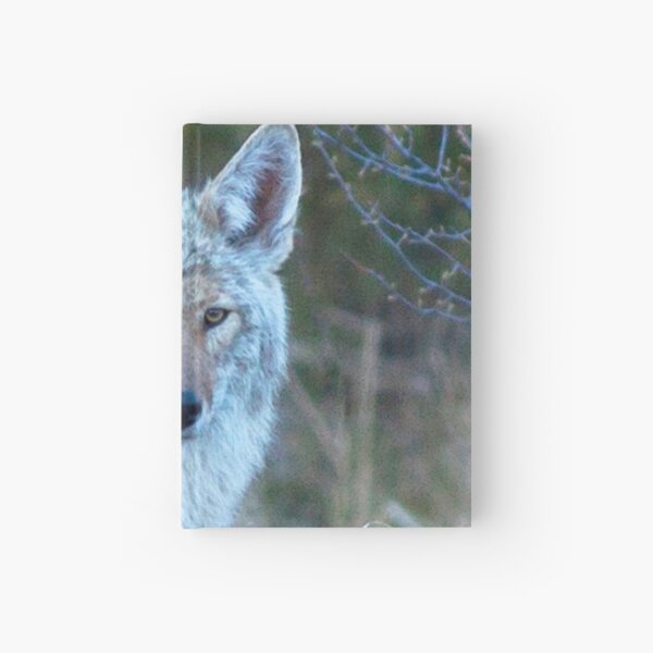 Watercolor Coyote 14, Estes Park, Colorado, Grey Light Lingering Hardcover Journal