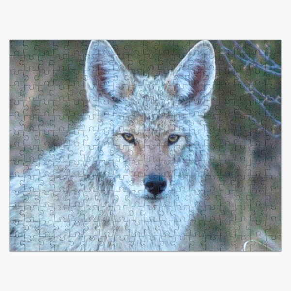 Watercolor Coyote 14, Estes Park, Colorado, Grey Light Lingering Jigsaw Puzzle