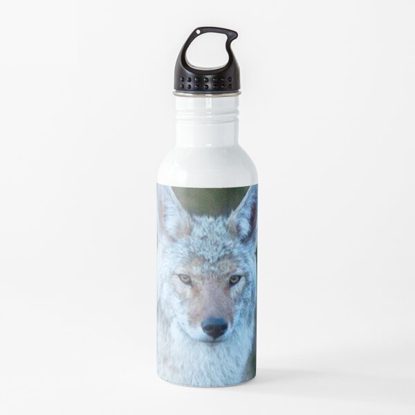 Watercolor Coyote 14, Estes Park, Colorado, Grey Light Lingering Water Bottle