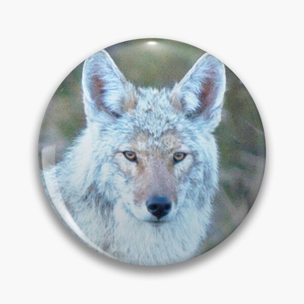 Artikelvorschau, Watercolor Coyote 05, Estes Park, Colorado, Pensive Predator entworfen und verkauft von CarlsonImagery4.