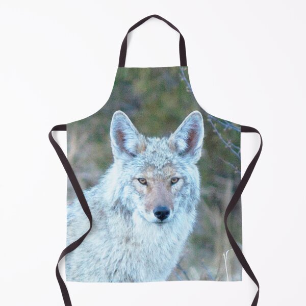 Item preview, Watercolor Coyote 05, Estes Park, Colorado, Pensive Predator designed and sold by CarlsonImagery4.