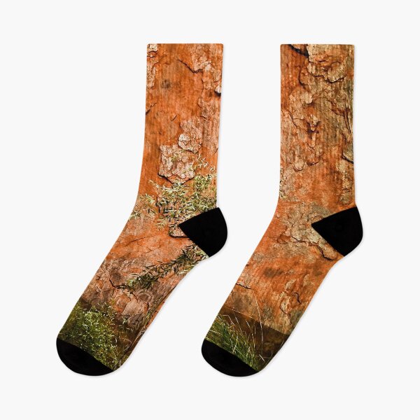 Item preview, Waterhole at Uluru with Native Sappling designed and sold by Ohlordi.