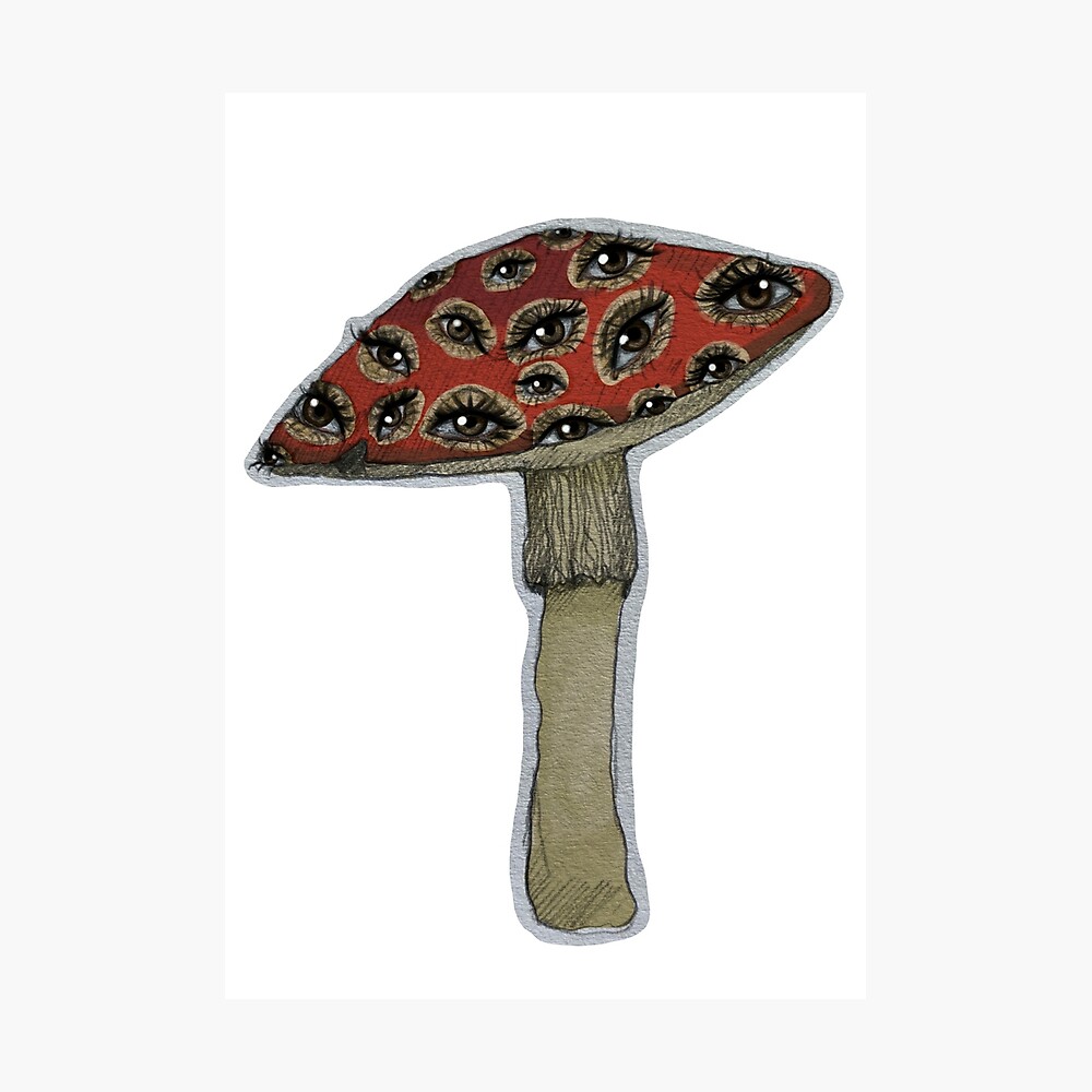 mushroomページ Whimsy Mushroom – Mondaes Makerspace & Supply