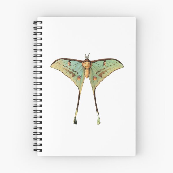Item preview, argemme (luna moth) designed and sold by cottagefrog.