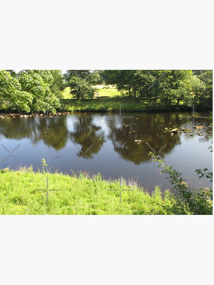 M.I. #95 |☼| Stream Between Trees - Shot 4 (Hadrian's Wall) by Naean