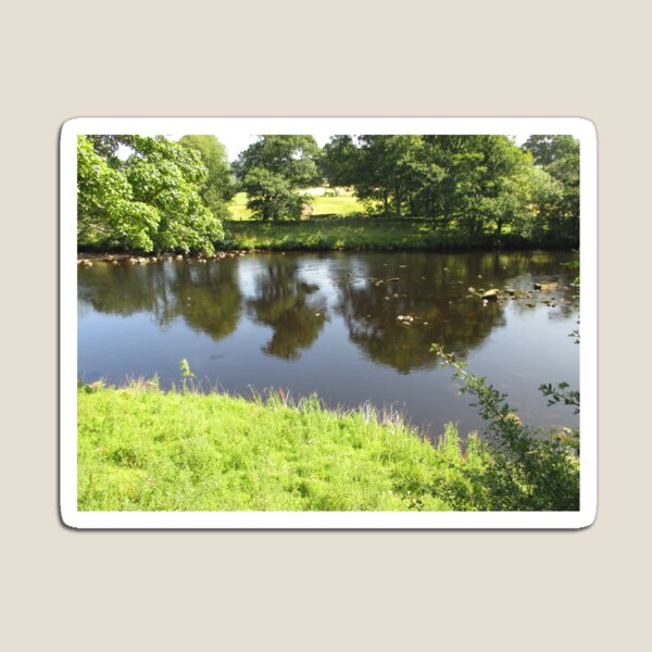 Merch #95 -- Stream Between Trees - Shot 4 (Hadrian's Wall) Magnet