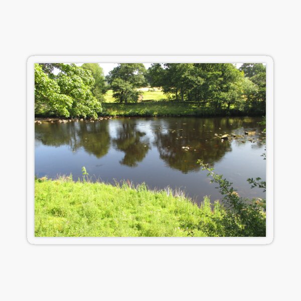 Merch #95 -- Stream Between Trees - Shot 4 (Hadrian's Wall) Transparent Sticker