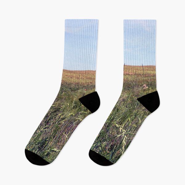Item preview, Photo landscape cornfield designed and sold by PM-Artistic.