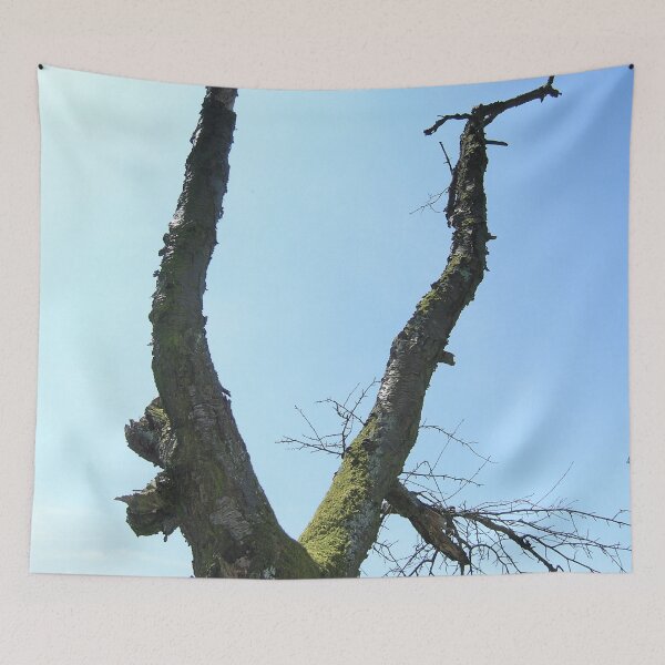 Item preview, Photo landscape tree designed and sold by PM-Artistic.